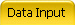 Data Input