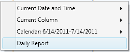 dbiCalendarWPF~ContextMenu~DailyReport.png
